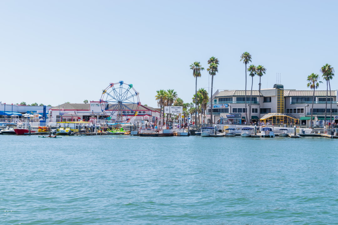 Harbor Cruises